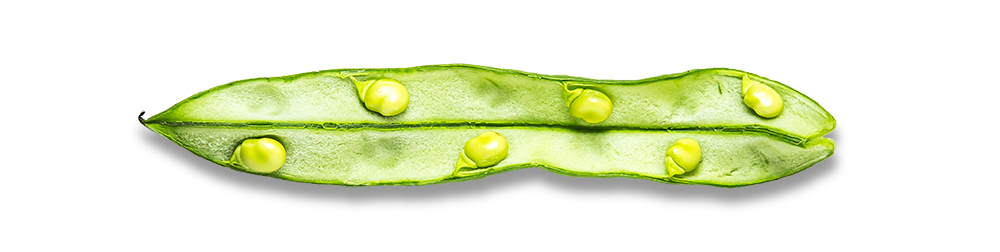 Ανοιχτό πράσινο φασολάκι