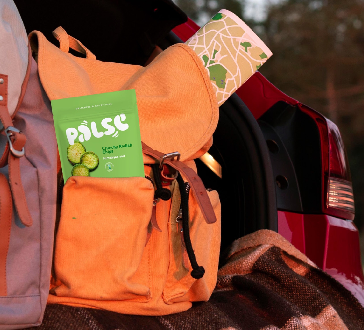 Palse TΡΑΓΑΝΑ ΤΣΙΠΣ ΡΑΠΑΝΙΟΥ ΑΠΟ ΚΟΥΚΙΑ, σε σχολική τσάντα